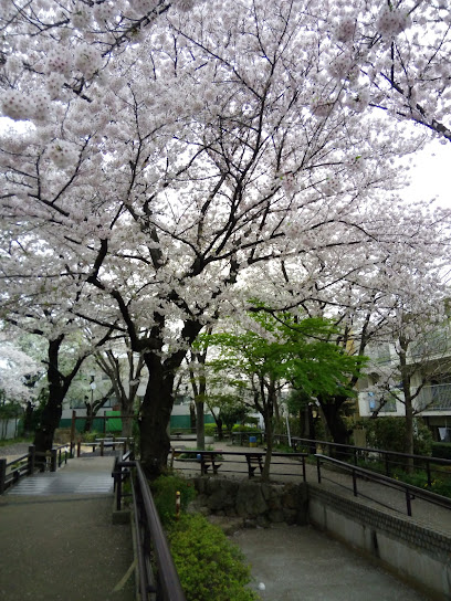 Nakamachi Seseragi Green Space Park