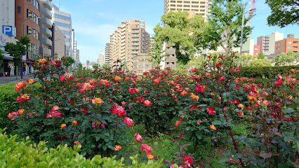 山手街園（バラ園）