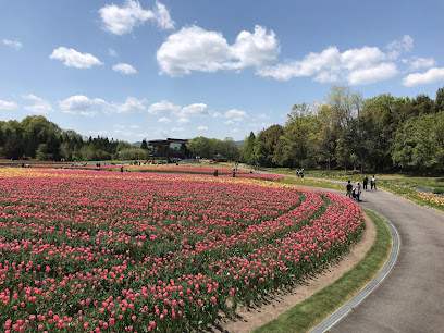 Bihoku Hillside Park