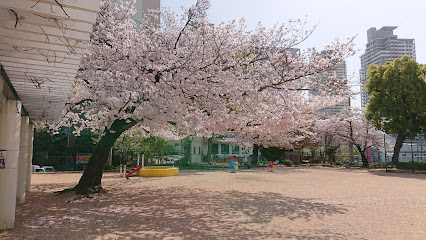 Wakihama Park