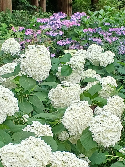 Kazeno Garden