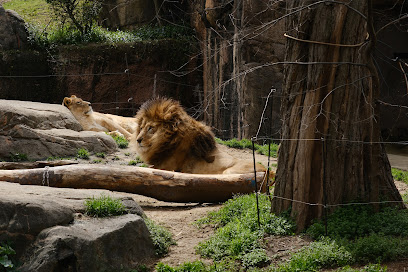 Tennoji Zoo