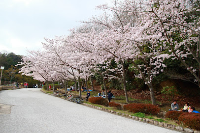 Kobe Sports Park