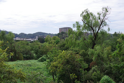 Komae Waterside School