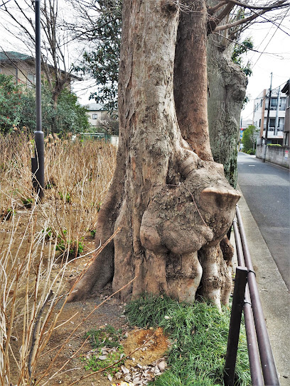Motomuranishi Park