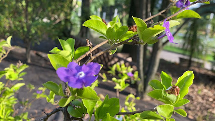 Aroma Garden