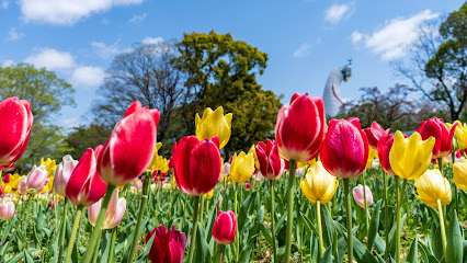 Tulip & Sunflower Garden