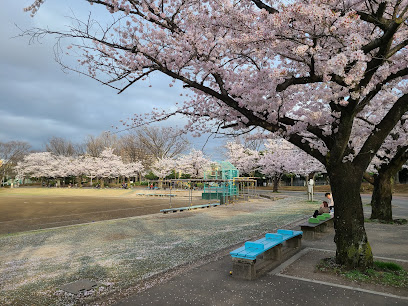 Shin-Koiwa Park