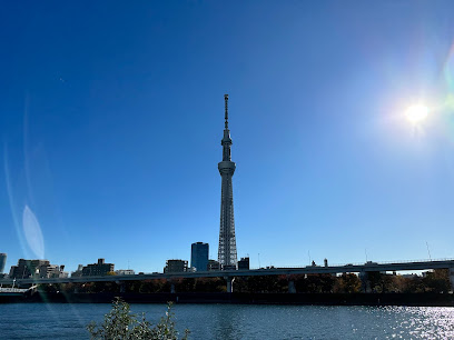 隅田公園 遊具広場