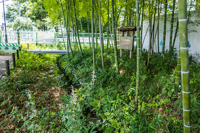 大沼田用水