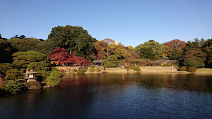Lower Pond