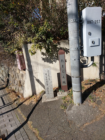 Tamaran-zaka