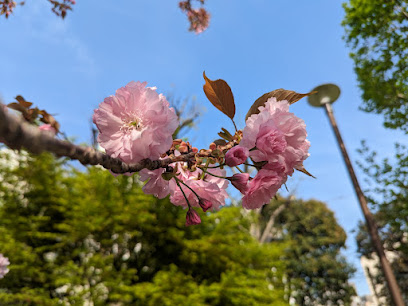 Daitoubashi Park