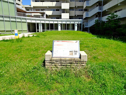 貝塚広場 -西ヶ原貝塚-