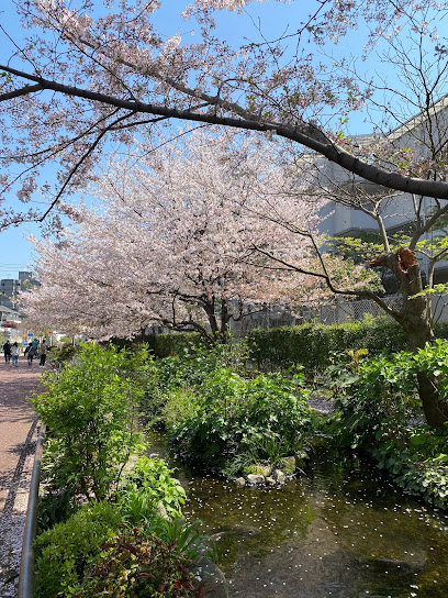 Meguro River Green Belt