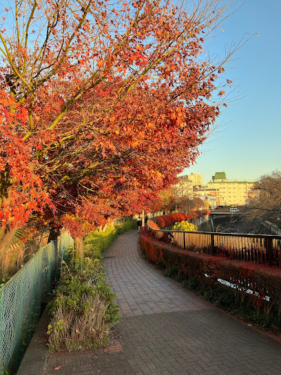 Otonashi Mizuki Ryokuchi Park