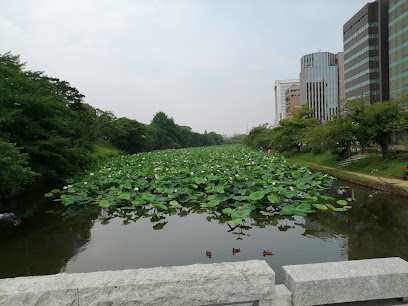 Fukuoka Castle Moat