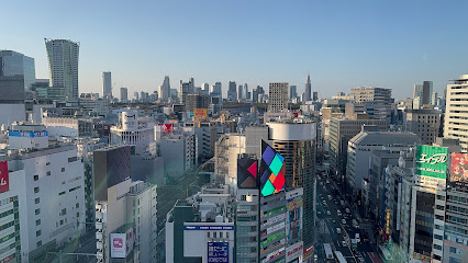 Shibuya Scramble Crossing
