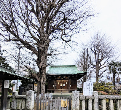 高木神社のイチョウ