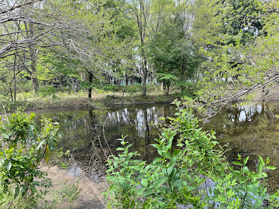 Koganei Park Futatsuike Pond