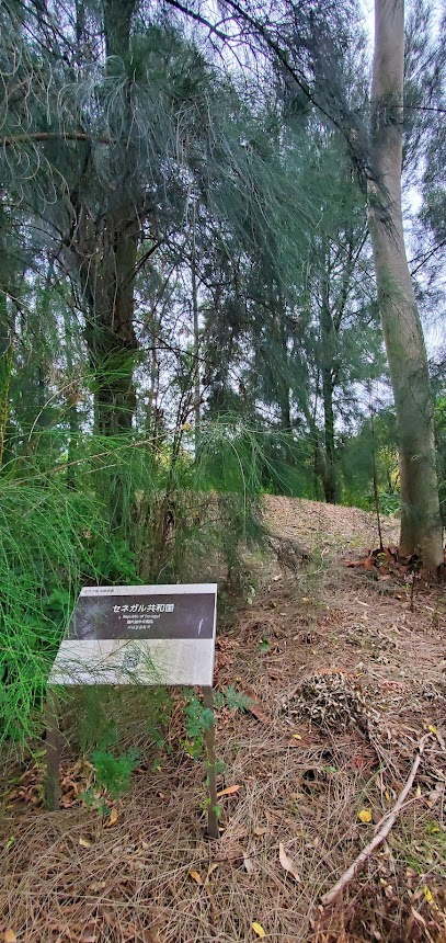 セネガル共和国庭園