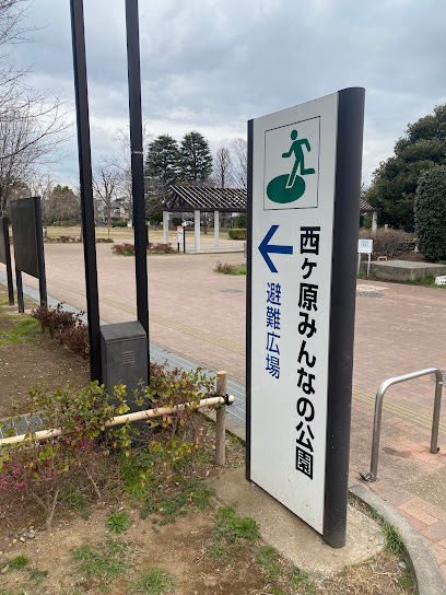 Nishigahara Minna-no-Koen Park