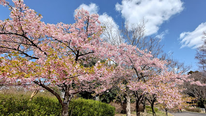 桜花林