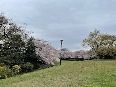 Sakura Area