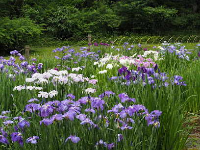 Iris Field