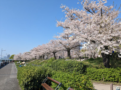 Sumida Park