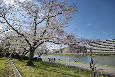 Saitama Prefectural Toda Park