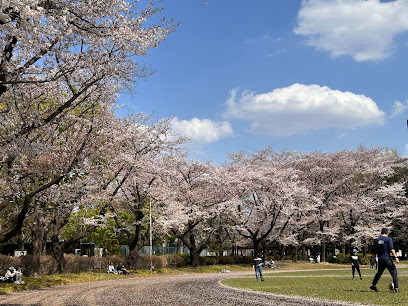 Kodaira City Central Park