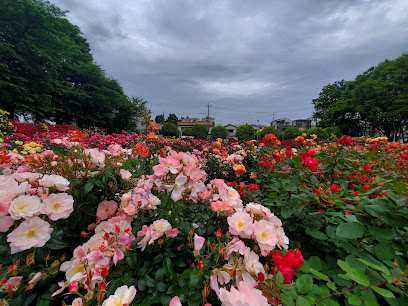Yono Park