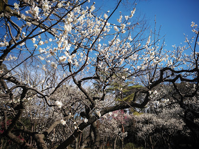 Plum Grove, Hikarigaoka Park
