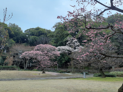 徳川園 芝生広場