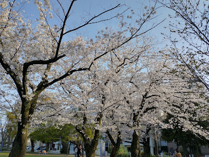 Shaguji Park
