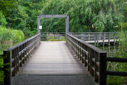 Nature Observatory and Pond