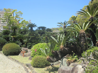 Cycad Garden