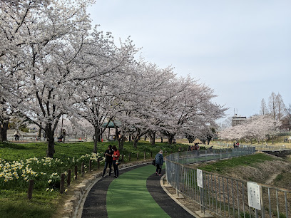 Hosoguchiike Park