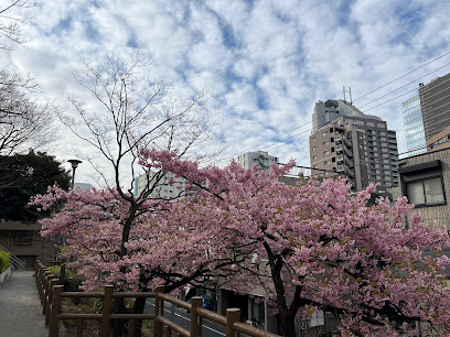 Seiwa Park