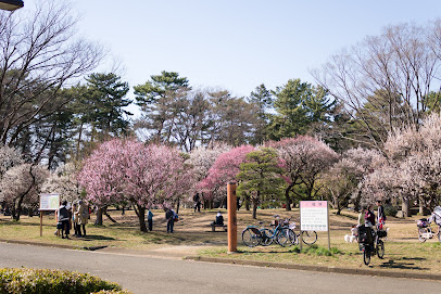 Koganei Park Plum Grove