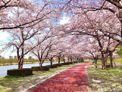 Saitama Prefectural Misato Park