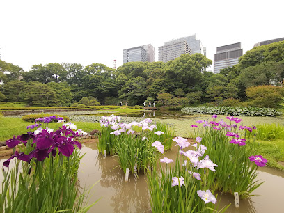 Ninomaru Garden