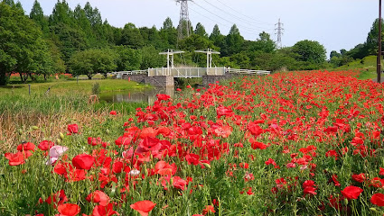 Omiya Hananooka Norin Garden