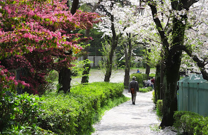 板橋四丁目緑道