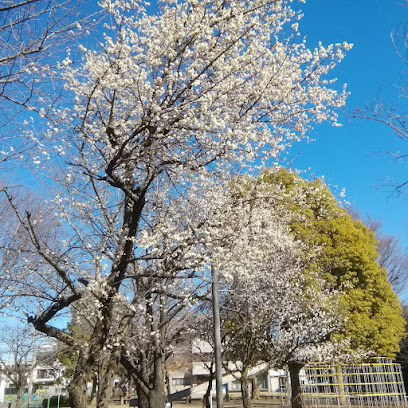 Shimowarabi Park