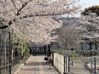 Tousei Koen Park