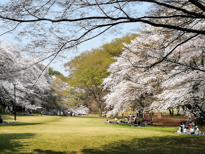 Kinuta Park