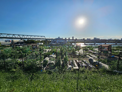 Yumenoshima Citizen’s Farmland