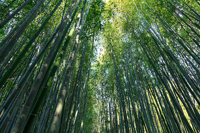 Kyoto City Rakusai Bamboo Park